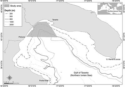 The Social Role of Vocal Complexity in Striped Dolphins